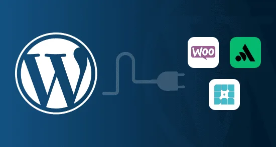 Custom WordPress Plugin Development: Why It Beats Generic Plugins